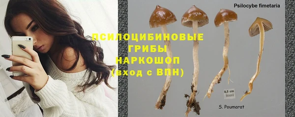 крисы Богородск