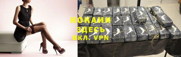 крисы Богородск
