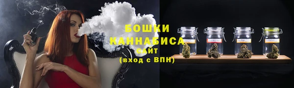 крисы Богородск