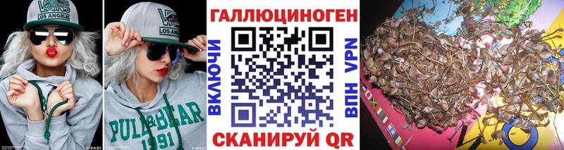 цена   Верхний Уфалей  Галлюциногенные грибы Magic Shrooms 
